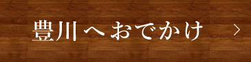 豊川へおでかけ