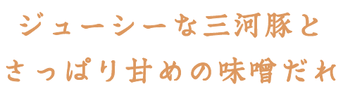 ジューシーな三元豚と