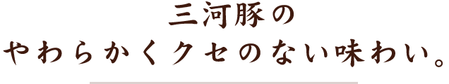 三元豚の